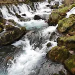 Slapovi